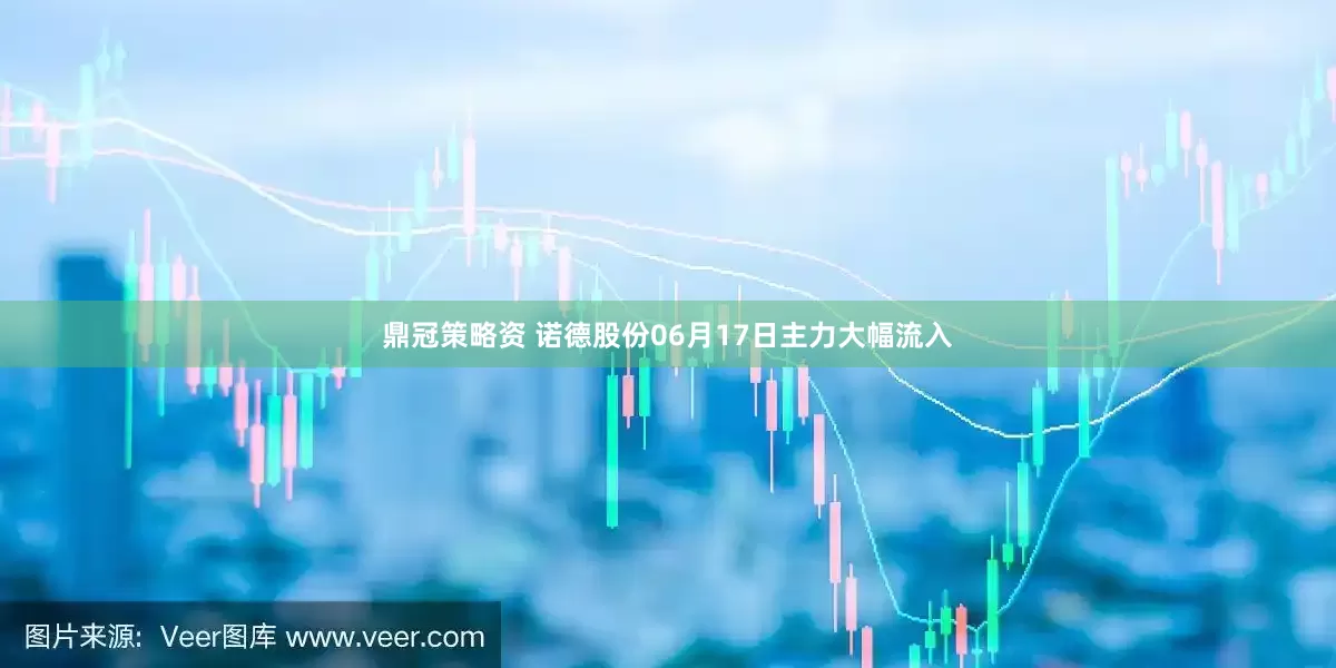 鼎冠策略资 诺德股份06月17日主力大幅流入